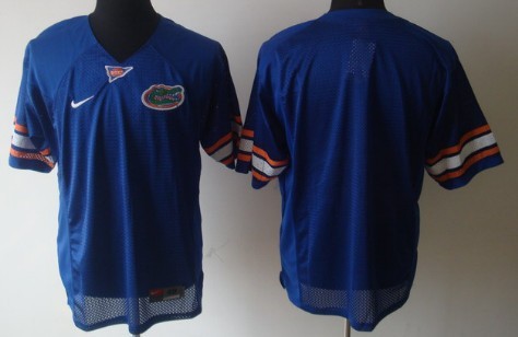 Kids' Florida Gators Customized Blue Jersey 