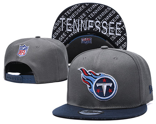 Titans Team Logo Gray Navy Adjustable Hat TX