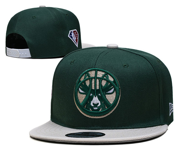 Milwaukee Bucks Finals Stitched Snapback Hats 009