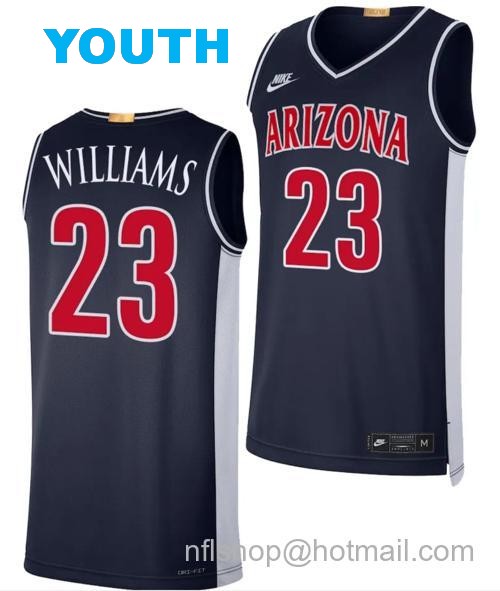 Youth Arizona Wildcats Derrick Williams Jersey #23 Limited Retro Basketball 2023-24 Navy74