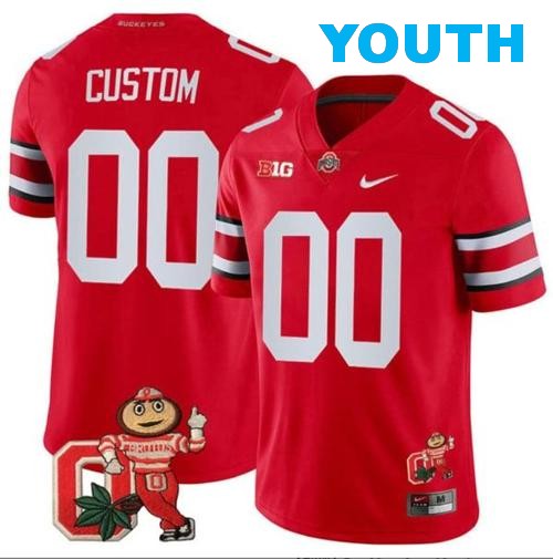 Youth Nike Custom Ohio State Buckeyes Jersey Name and Number Mascot Patch College Football Scarlet