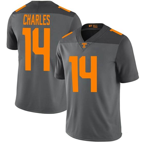 Men's Tennessee Volunteers Christian Charles Jersey #14 College Football Gray