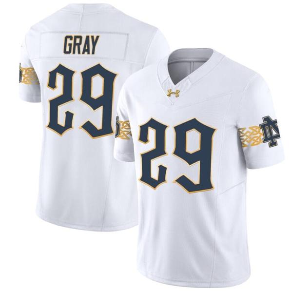 Men's Christian Gray Jersey #29 Notre Dame Fighting Irish 2024 Vapor Limited College Football White