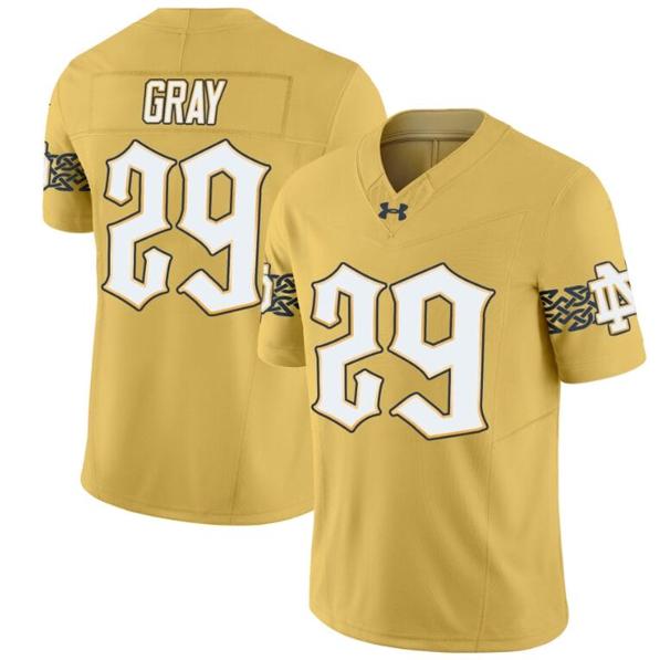 Men's Christian Gray Jersey #29 Notre Dame Fighting Irish 2024 Vapor Limited College Football