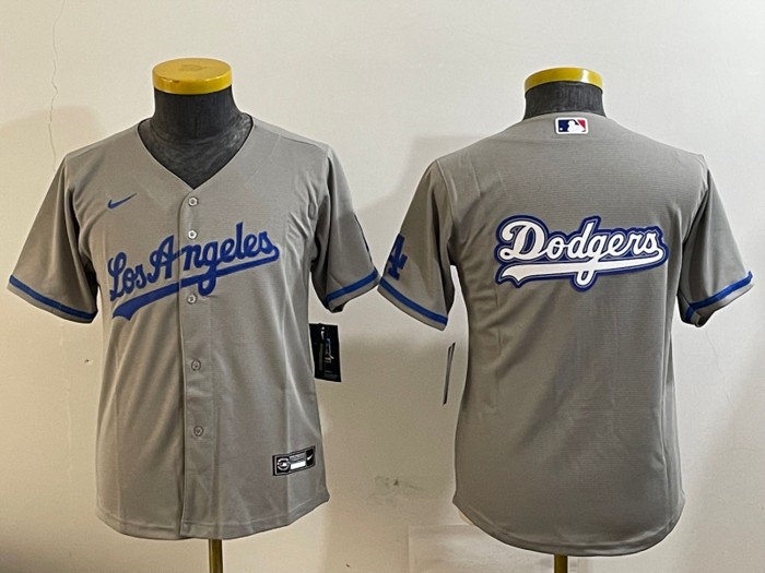 Youth Los Angeles Dodgers Big Team Logo Patch Road Grey Nike Limited Jersey