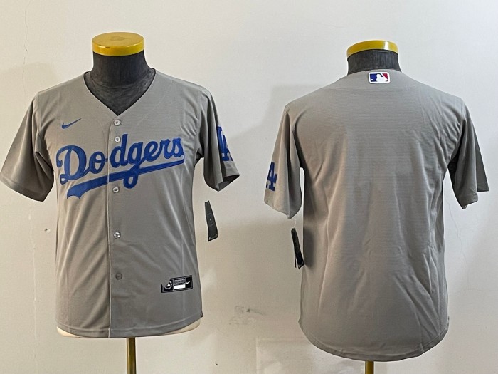 Youth Los Angeles Dodgers Blank Grey Nike Limited Jersey