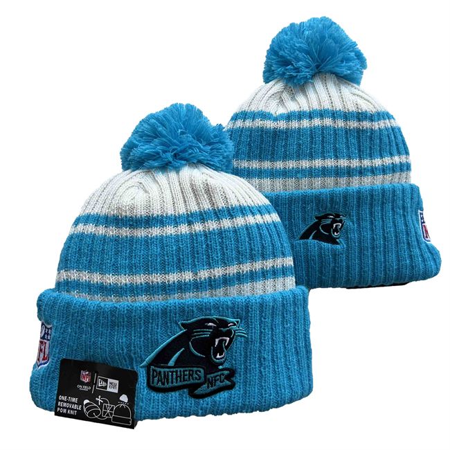 Carolina Panthers 2025 Knit Hats 001