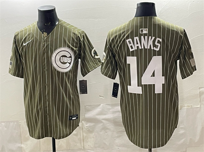Men's Chicago Cubs #14 Ernie Banks Pinstripe Olive 2026 Armed Forces Day Salute To Service Stitched Baseball Jersey