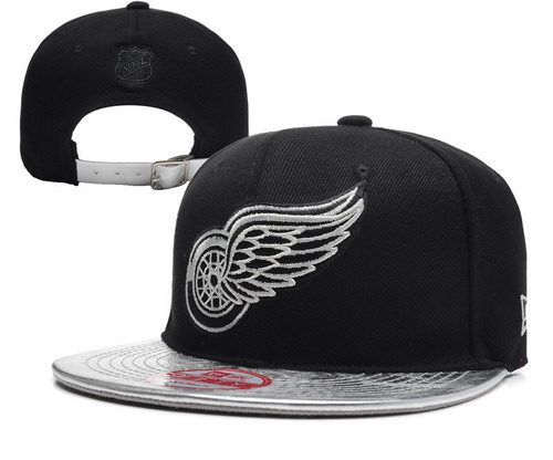 Detroit Red Wings Snapbacks YD003