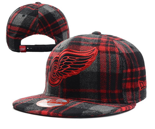 Detroit Red Wings Snapbacks YD004