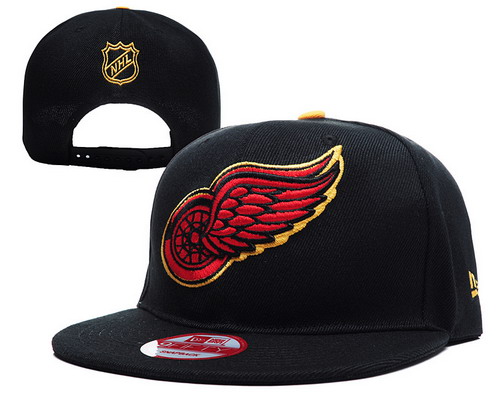 Detroit Red Wings Snapbacks YD009