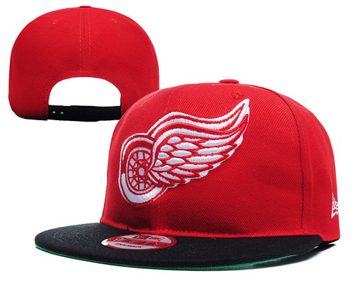 Detroit Red Wings Snapbacks YD012